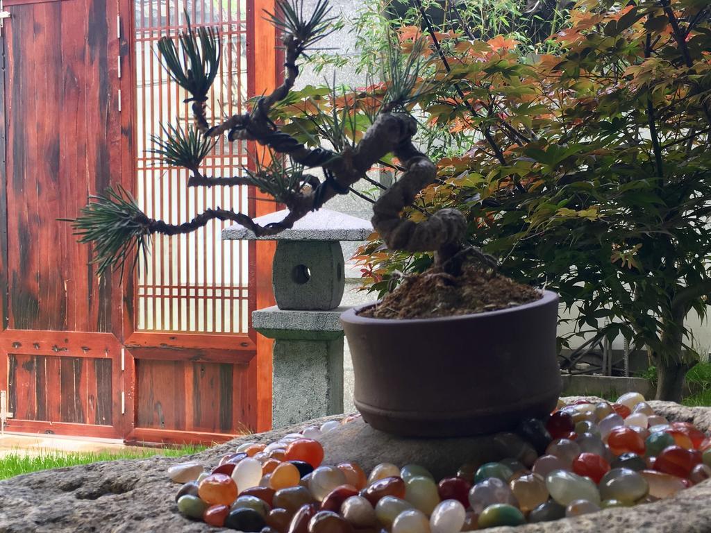 Bo Nan Homestay Dali  Eksteriør billede